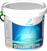 Phytovet Dermaphyt support