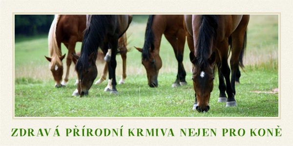 zdravá přírodní krmiva nejen pro koně