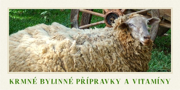 krmné bylinné přípravky a vitamíny