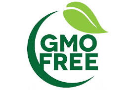 GMO v krmivech