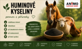 Huminové kyseliny