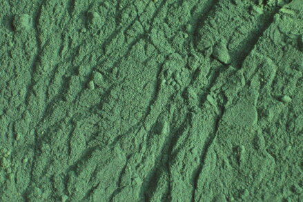 Spirulina - sladkovodní řasa