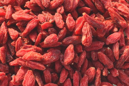 Goji - kustovnice čínská 