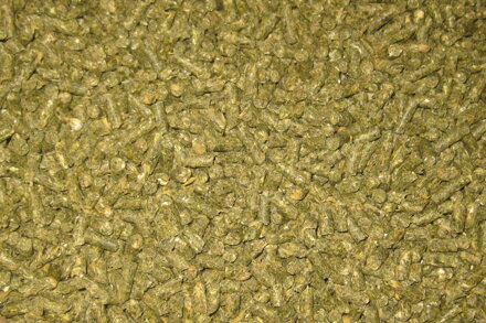 Sehnoutek činčila 10 kg