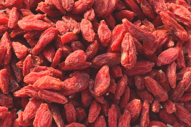 Goji - kustovnice čínská 