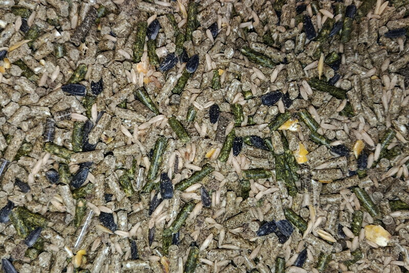 ANIMO musli ovce a kozy s vitmin