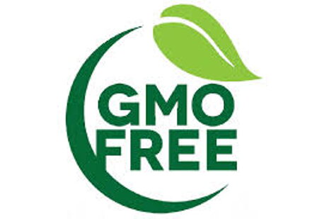 GMO v krmivech
